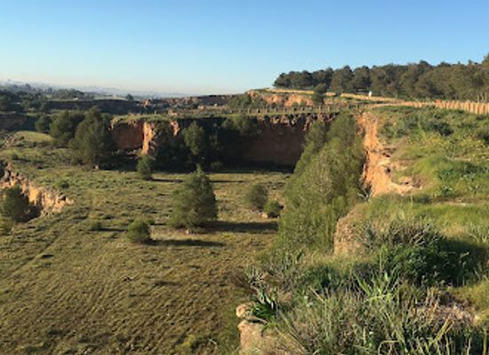 morocco/chaouia/attraction/bouskoura-forest
