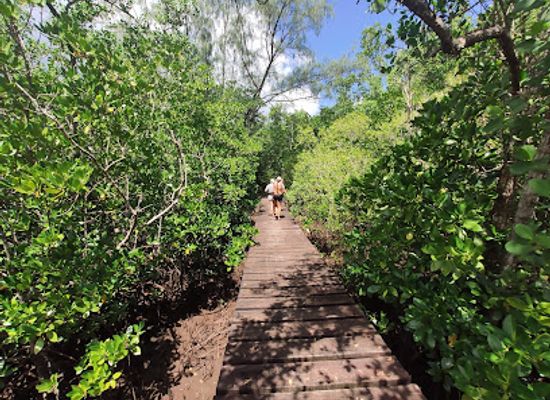 seychelles/grand-anse/attraction/barbarons-coastal-wetlands
