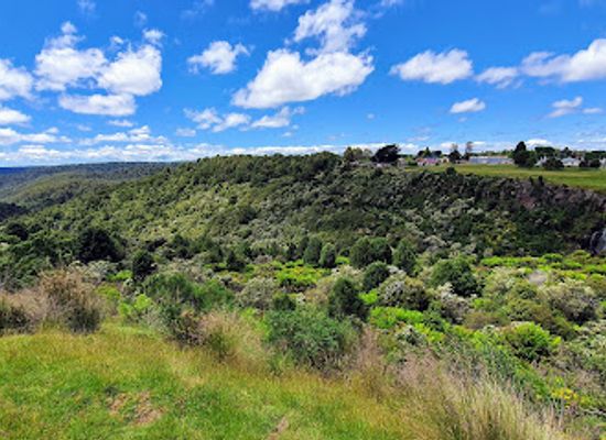 australia/tasmanian-wilderness/attraction/waratah-falls