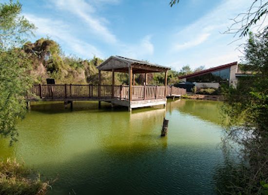 texas/rio-grande-valley/attraction/valley-nature-center