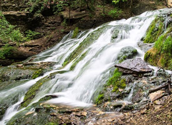 iowa/driftless-area/attraction/dunning-s-spring-park