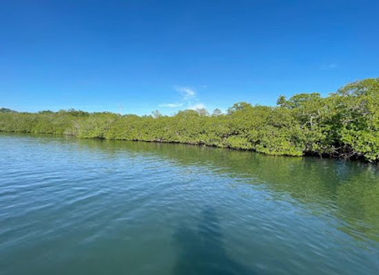 honduras/roatan/attraction/fun-chaser-roatan