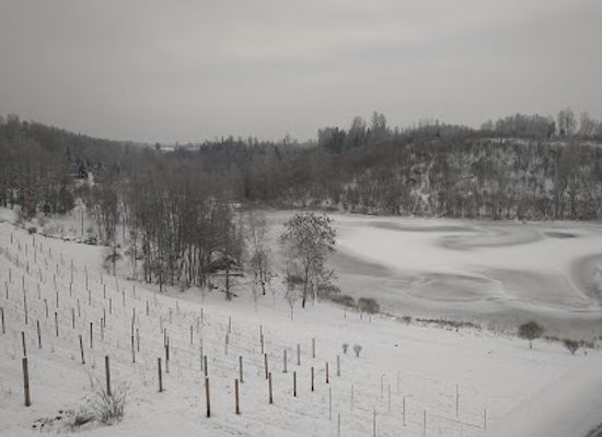 estonia/otepaa-ski-resort/attraction/murimae-veinikelder