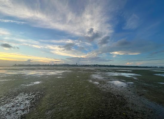 fiji/levuka/attraction/nasese-beach