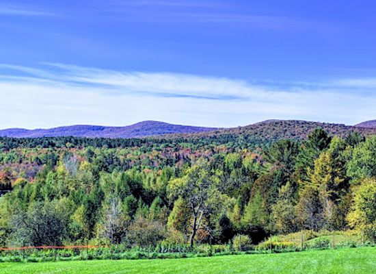 vermont/northeast-kingdom/attraction/great-vermont-corn-maze