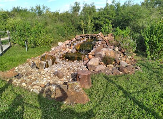 texas/south-texas/attraction/oso-bay-wetlands-preserve-and-learning-center-corpus-christi-tx