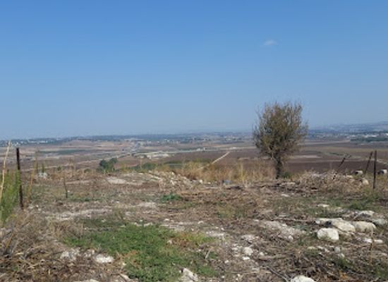 israel/jezreel-valley/attraction/tel-yokneam