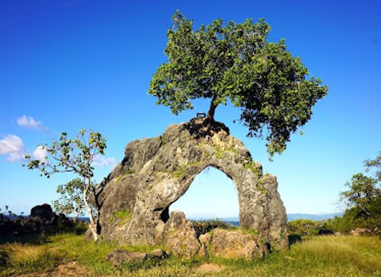 timor-leste/matebian-mountain/attraction/fatuk-domin-arch-with-tree