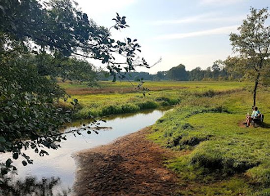 netherlands/drenthe/attraction/nationaal-beek-en-esdorpenlandschap-drentsche-aa