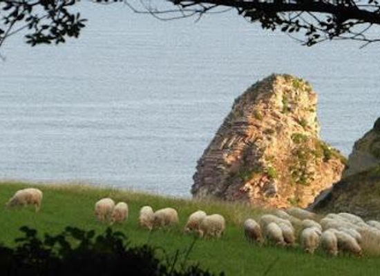 spain/san-sebastian/attraction/domaine-d-abbadia