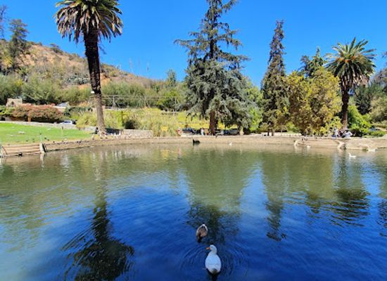 chile/vina-del-mar/concon/attraction/vina-del-mar-national-botanical-garden