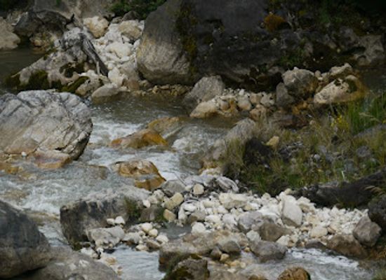 papua-new-guinea/enga-region/attraction/miokrest-rural-agri-tech