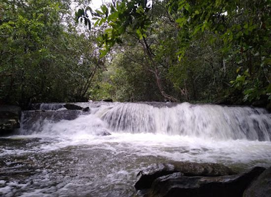 colombia/amazon/attraction/serrania-de-la-lindosa