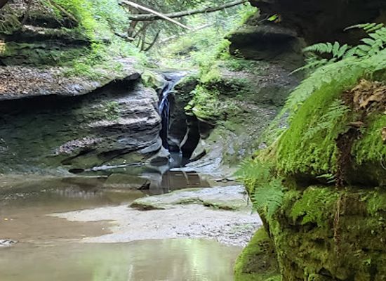 ohio/hocking-hills/attraction/robinson-falls