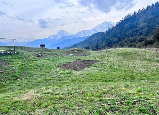 nepal/poon-hill/attraction/mohare-to-poonhill-trail