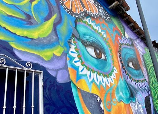 mexico/puerto-vallarta/downtown-puerto-vallarta/attraction/lady-death-mural