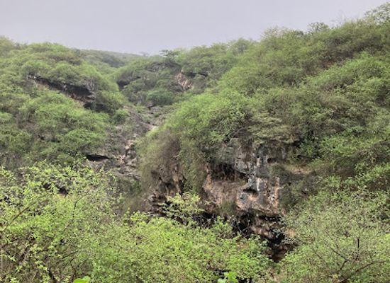 oman/mirbat/attraction/sada-alreef