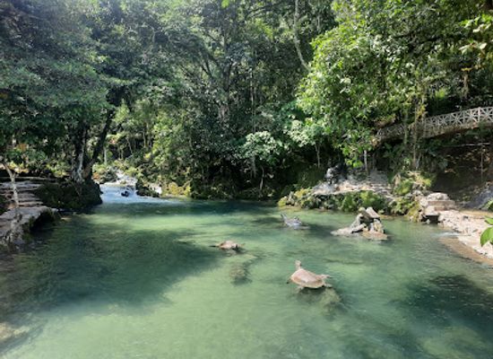 peru/san-martin/attraction/centro-turistico-tio-yacu