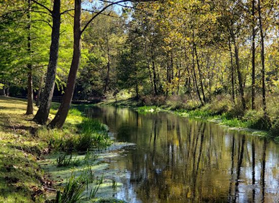 missouri/mark-twain-national-forest/attraction/stone-mill-spring