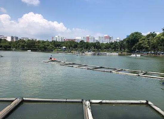 singapore/tampines/attraction/pasir-ris-town-park