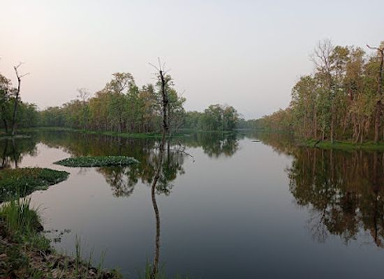 nepal/chitwan/bharatpur/attraction/tikauli-jungle