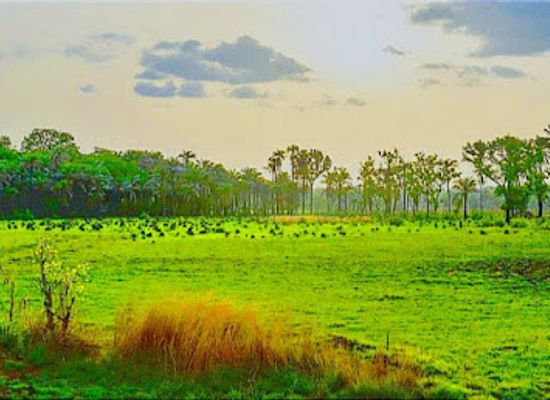 guinea-bissau/bissau/attraction/mundo-guigui-world-guine-bissau