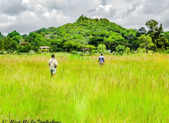 zimbabwe/mashonaland-east/attraction/monavale-vlei
