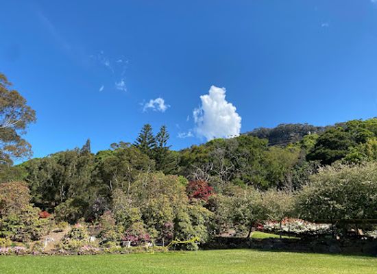 australia/illawarra/attraction/illawarra-rhododendron-and-rainforest-gardens