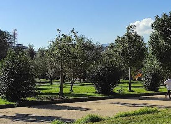 italy/palermo/attraction/parco-della-favorita