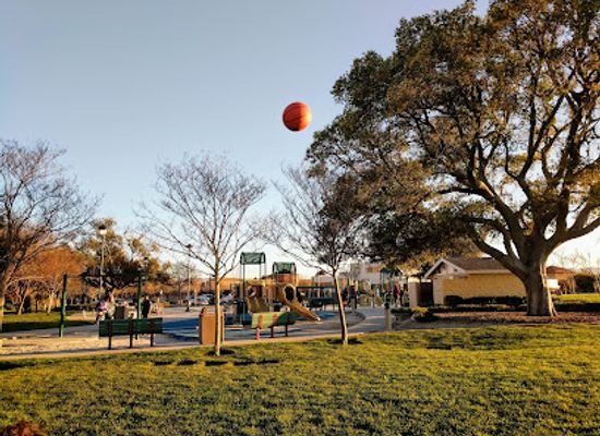 california/santa-clara/attraction/live-oak-park