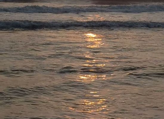 india/mahabalipuram/attraction/shore-walk-beach