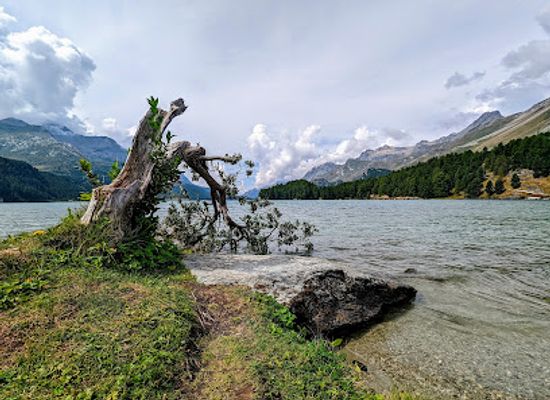 switzerland/engadin/attraction/silsersee-uferweg