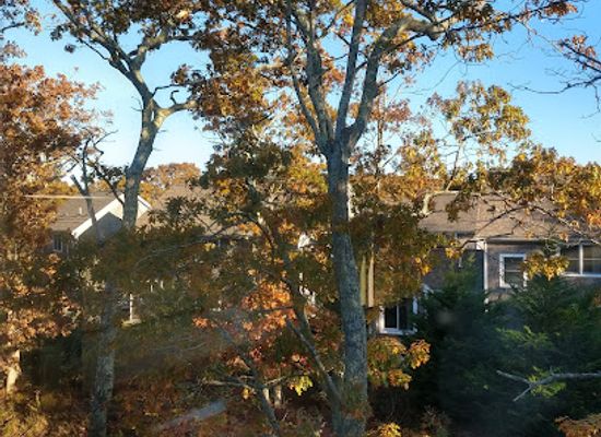 massachusetts/martha-s-vineyard/attraction/vineyard-house