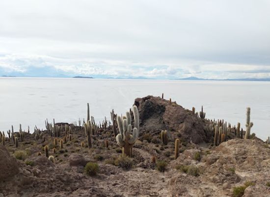 bolivia/salar-de-uyuni/attraction/isla-pia-pia