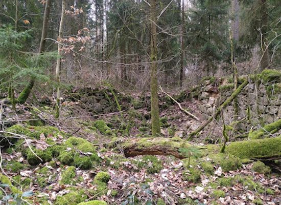 germany/upper-palatinate/attraction/ruinen-im-wald