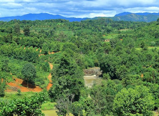 vietnam/central-highlands/attraction/nam-trung-plate-stone