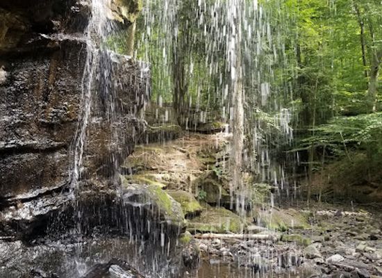 ohio/northeast-ohio/attraction/beach-city-wildlife-area