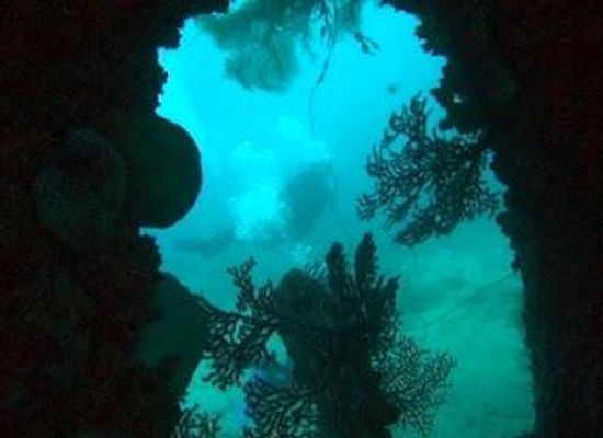 aruba/tanki-leendert/attraction/s-e-aruba-fly-n-dive