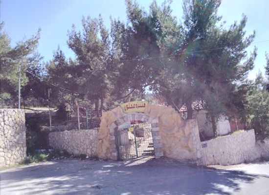 jordan/ajloun-highlands/attraction/ajloun-park