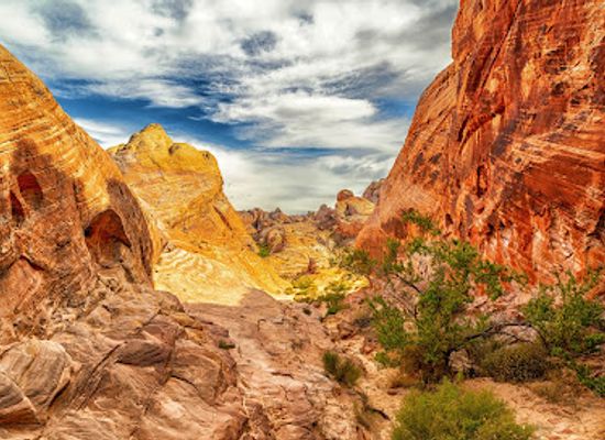 nevada/lake-mead-national-recreation-area/attraction/the-white-domes-trail