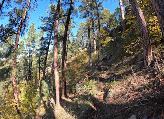 south-dakota/south-central-south-dakota/attraction/ft-meade-recreation-area-park