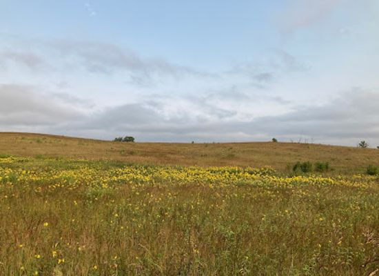 iowa/tallgrass-prairie/attraction/neal-smith-national-wildlife-refuge
