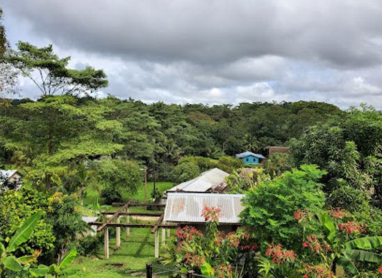 belize/vaca-plateau/attraction/eladio-s-farm-chocolate