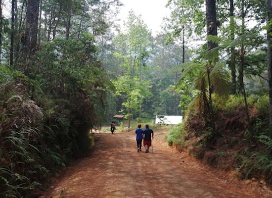 honduras/cusuco-national-park/attraction/parque-nacional-cusuco
