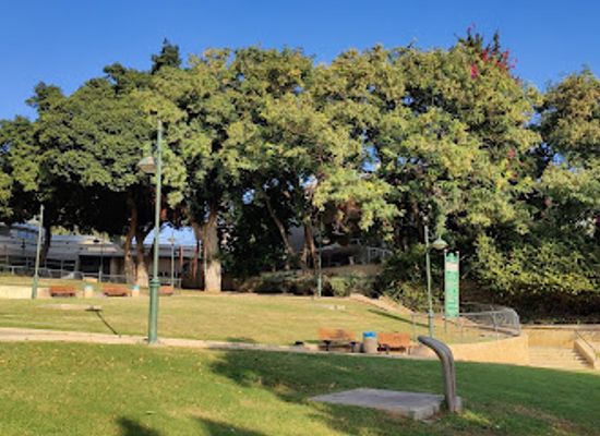 israel/netanya/attraction/etz-shikma-atik
