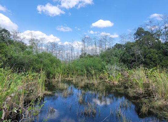 florida/big-cypress-national-preserve/attraction/big-cypress-national-preserve-loop-unit