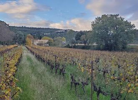 france/languedoc/attraction/mas-gourdou