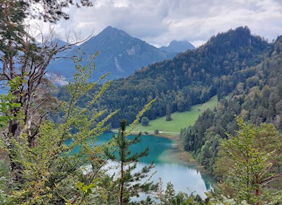 germany/fussen/attraction/zweiseenblick