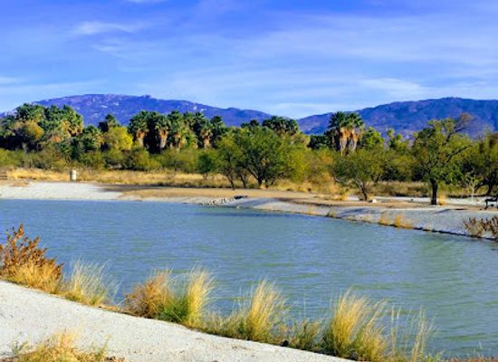 arizona/pima-county/attraction/agua-caliente-regional-park