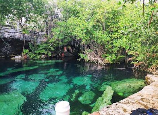 mexico/cozumel/attraction/cenote-cristalino